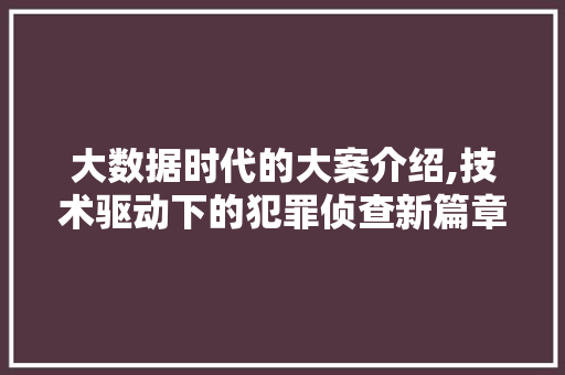 大数据时代的大案介绍,技术驱动下的犯罪侦查新篇章