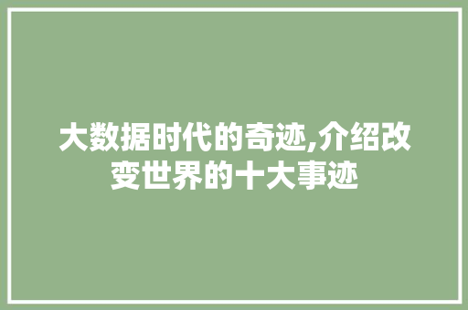 大数据时代的奇迹,介绍改变世界的十大事迹 网站优化