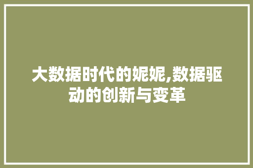大数据时代的妮妮,数据驱动的创新与变革 小程序开发