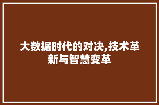 大数据时代的对决,技术革新与智慧变革 AI技术学习