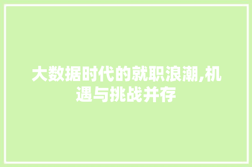 大数据时代的就职浪潮,机遇与挑战并存 seo技术