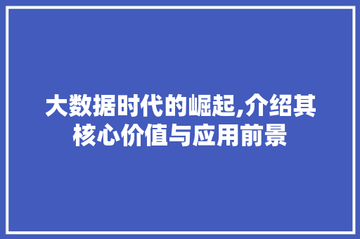 大数据时代的崛起,介绍其核心价值与应用前景 seo技术