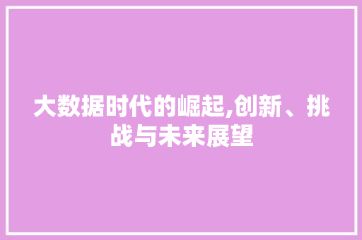 大数据时代的崛起,创新、挑战与未来展望 AI技术学习