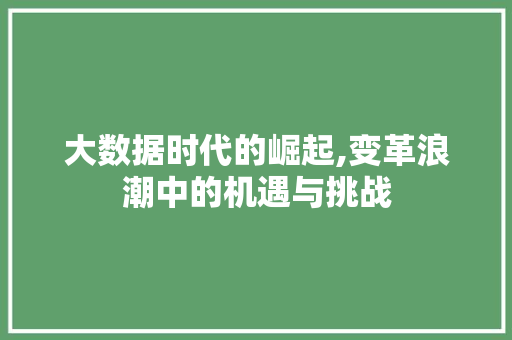 大数据时代的崛起,变革浪潮中的机遇与挑战