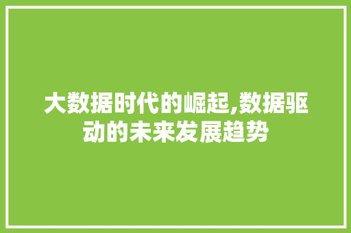 大数据时代的崛起,数据驱动的未来发展趋势 搜狗优化