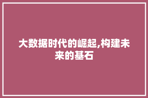 大数据时代的崛起,构建未来的基石 小程序开发