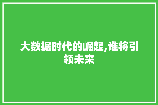 大数据时代的崛起,谁将引领未来 搜狗优化