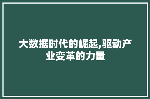大数据时代的崛起,驱动产业变革的力量 小程序开发