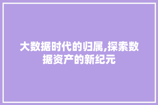 大数据时代的归属,探索数据资产的新纪元 网站优化