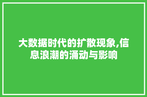 大数据时代的扩散现象,信息浪潮的涌动与影响 头条优化