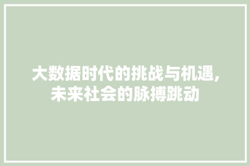 大数据时代的挑战与机遇,未来社会的脉搏跳动 360搜优化