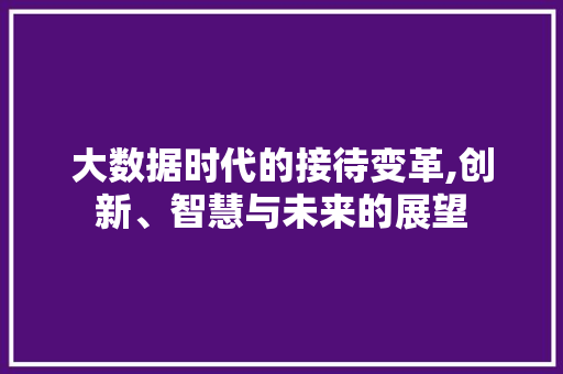 大数据时代的接待变革,创新、智慧与未来的展望 网站开发