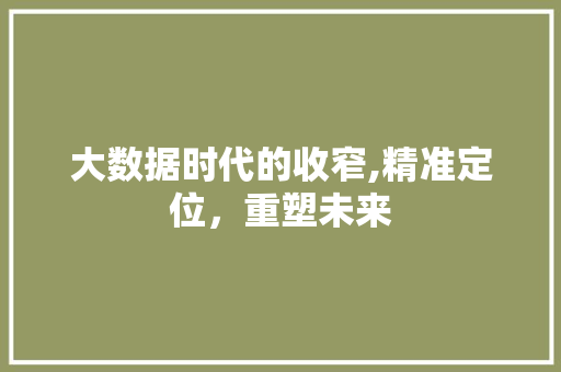大数据时代的收窄,精准定位，重塑未来 seo技术