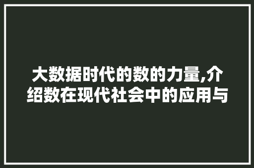 大数据时代的数的力量,介绍数在现代社会中的应用与影响