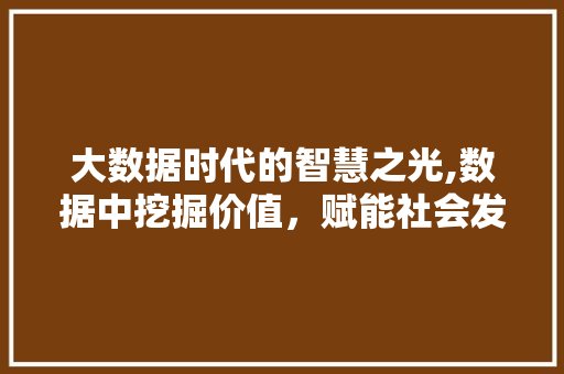 大数据时代的智慧之光,数据中挖掘价值，赋能社会发展 360搜优化