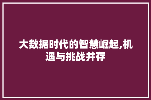 大数据时代的智慧崛起,机遇与挑战并存 seo技术