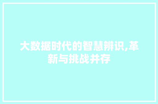 大数据时代的智慧辨识,革新与挑战并存 头条优化