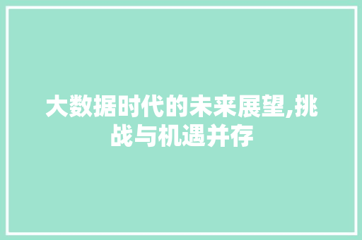 大数据时代的未来展望,挑战与机遇并存 AI技术学习
