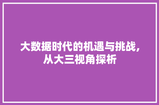 大数据时代的机遇与挑战,从大三视角探析 seo技术