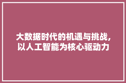 大数据时代的机遇与挑战,以人工智能为核心驱动力 网站优化