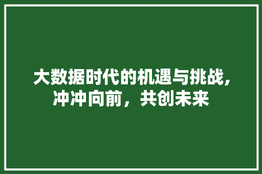 大数据时代的机遇与挑战,冲冲向前，共创未来 AI技术学习