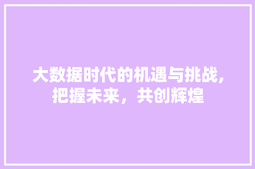 大数据时代的机遇与挑战,把握未来，共创辉煌 百度算法