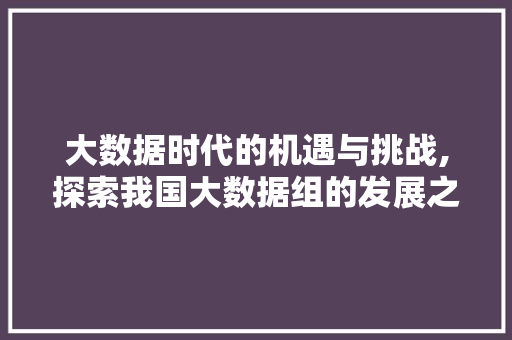 大数据时代的机遇与挑战,探索我国大数据组的发展之路 头条优化