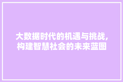 大数据时代的机遇与挑战,构建智慧社会的未来蓝图 网站优化
