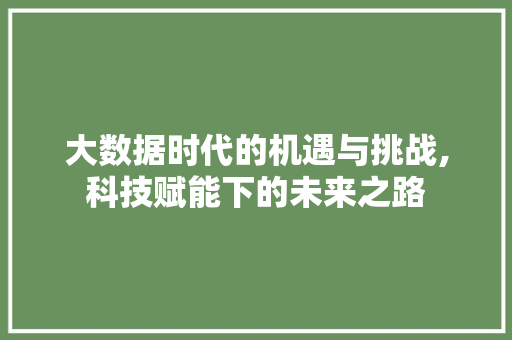 大数据时代的机遇与挑战,科技赋能下的未来之路