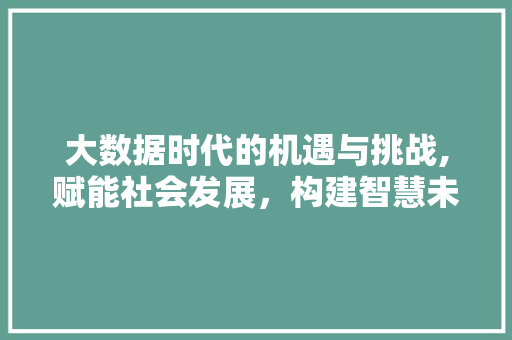 大数据时代的机遇与挑战,赋能社会发展，构建智慧未来 AI技术学习