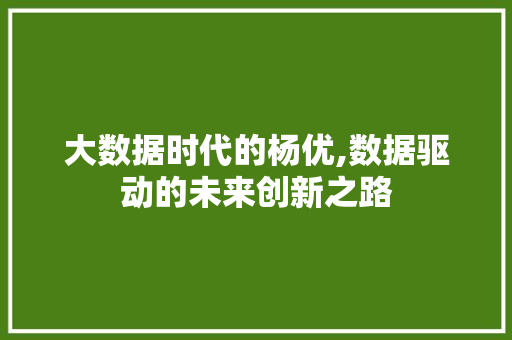 大数据时代的杨优,数据驱动的未来创新之路 小程序开发