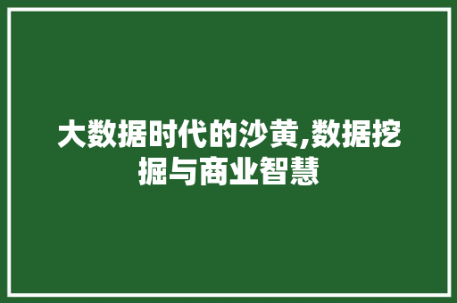 大数据时代的沙黄,数据挖掘与商业智慧 网站开发