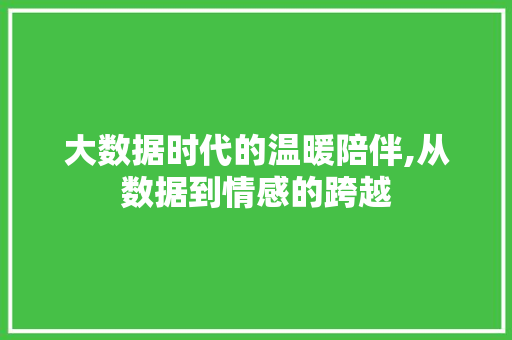 大数据时代的温暖陪伴,从数据到情感的跨越