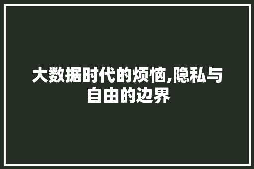 大数据时代的烦恼,隐私与自由的边界 seo技术