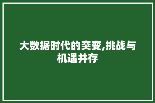 大数据时代的突变,挑战与机遇并存 seo技术