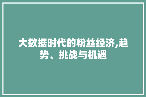 大数据时代的粉丝经济,趋势、挑战与机遇 小程序开发