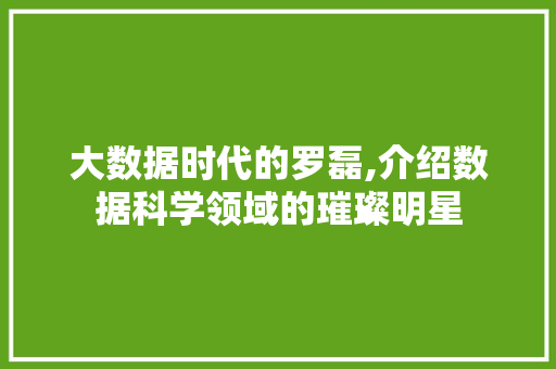 大数据时代的罗磊,介绍数据科学领域的璀璨明星 英文谷歌算法
