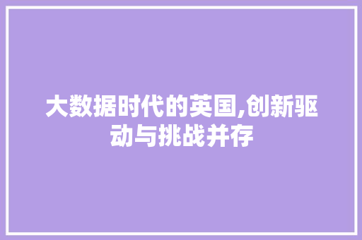大数据时代的英国,创新驱动与挑战并存
