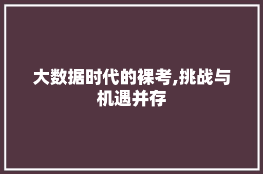 大数据时代的裸考,挑战与机遇并存 搜狗优化