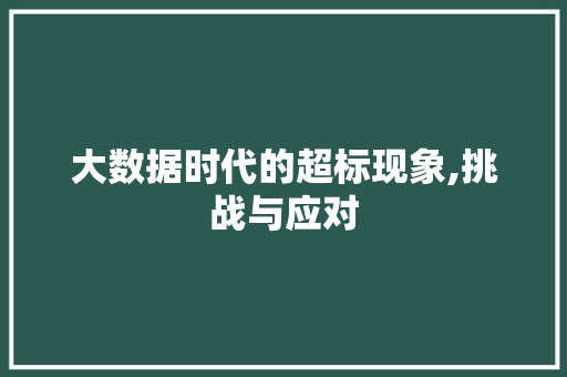 大数据时代的超标现象,挑战与应对 网站开发