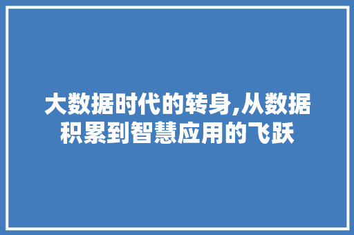 大数据时代的转身,从数据积累到智慧应用的飞跃 网站开发