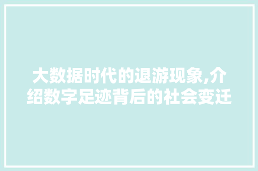大数据时代的退游现象,介绍数字足迹背后的社会变迁 头条优化