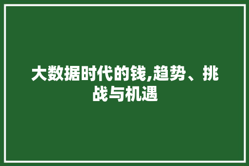 大数据时代的钱,趋势、挑战与机遇
