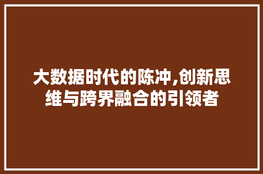 大数据时代的陈冲,创新思维与跨界融合的引领者 小程序开发