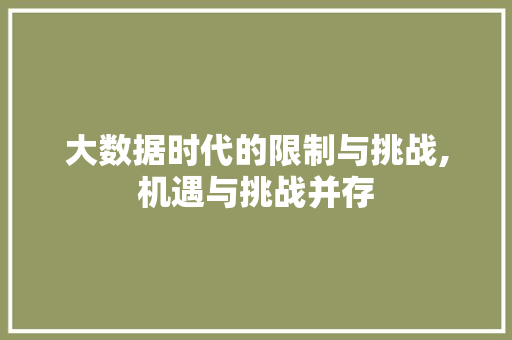 大数据时代的限制与挑战,机遇与挑战并存 seo技术