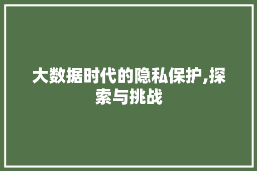 大数据时代的隐私保护,探索与挑战 360搜优化