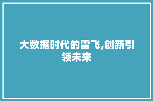 大数据时代的雷飞,创新引领未来 seo技术