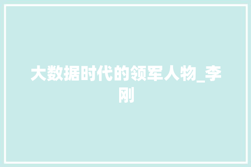 大数据时代的领军人物_李刚 网站优化