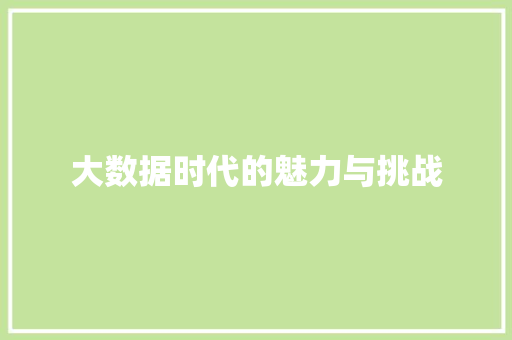 大数据时代的魅力与挑战 英文谷歌算法