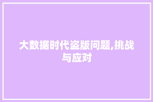 大数据时代盗版问题,挑战与应对